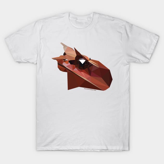 Malayan Horned Frog T-Shirt by GeometricWildlife